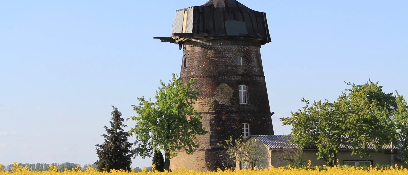 Großkopfs Turmwindmühle bei Niemegk