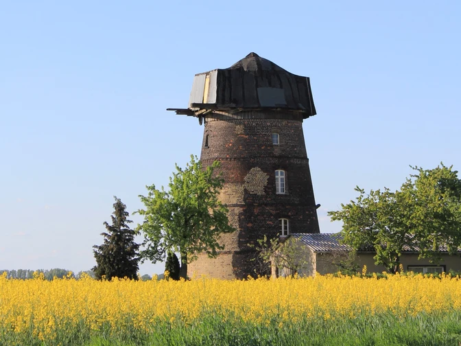 Großkopfs Turmwindmühle bei Niemegk