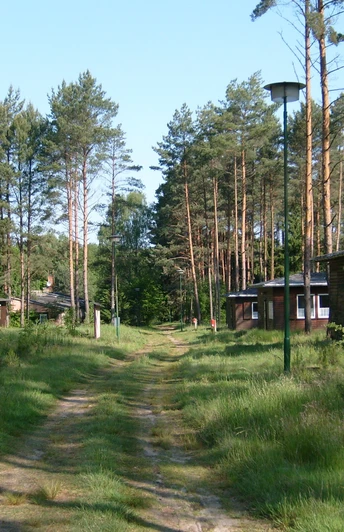 Bungalows im Ferienpark Hohenspringe