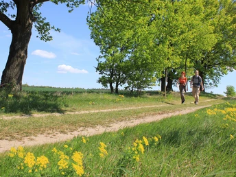 Burgenwanderweg bei Jeserig