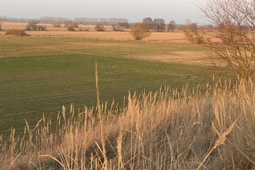 Belziger Landschaftswiesen