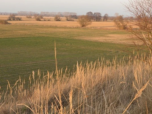 Belziger Landschaftswiesen