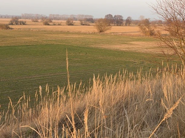 Belziger Landschaftswiesen
