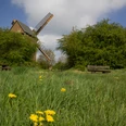 Bockwindmühle Borne