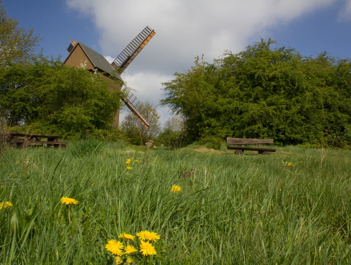 Bockwindmühle Borne