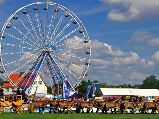 Titanen der Rennbahn