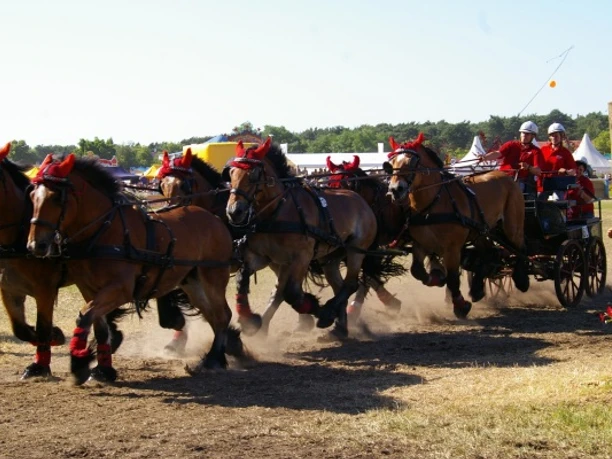 Titanen der Rennbahn