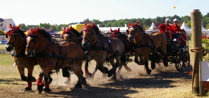 Titanen der Rennbahn