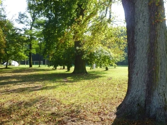 Blick in den Gutspark Cammer
