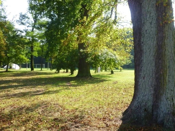 Blick in den Gutspark Cammer