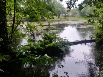 Teichlandschaft im Naturquellgebiet "Das Paradies"