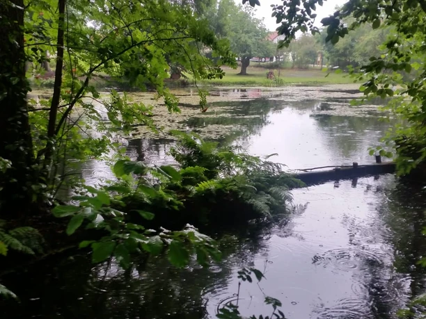Teichlandschaft im Naturquellgebiet "Das Paradies"