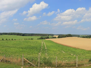 Aussicht vom Wasserwerk