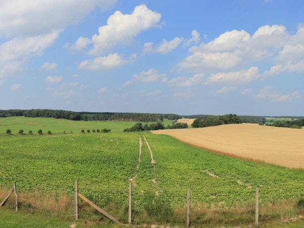 Aussicht vom Wasserwerk