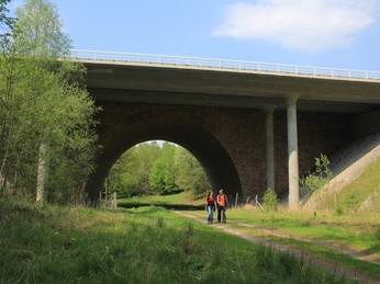 Mehrere Wanderwege führen unter der Brücke durch.