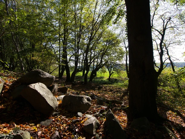 Große Findlinge liegen auf dem Weinberg.