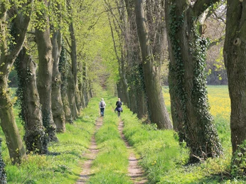 Eine Allee führt zum Erbbegräbnis.