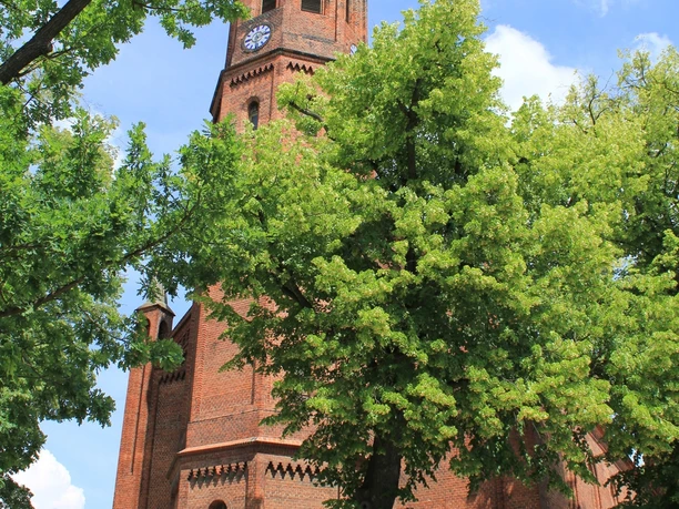 St. Johanniskirche Niemegk
