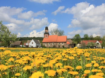 Dorfkirche Raben mit Löwenzahnblütenmeer