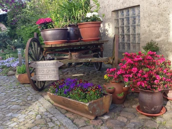 Willkommen im Cottage im Fläming