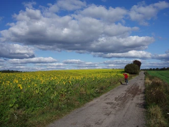 Landweg bei Lawitz