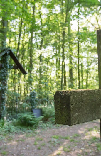 Schlosspark Bomsdorf