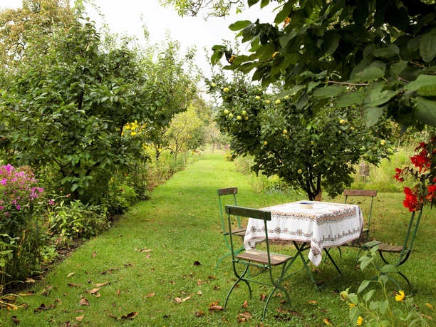 Garten in der Russischen Kolonie Alexandrowka