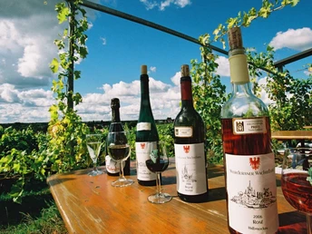 Weintiene auf dem Werderaner Wachtelberg