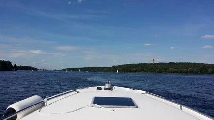 Blick auf den Grunewaldturm