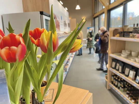 Kaiserbahnhof Hoppegarten von innen