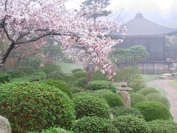 Japanischer Bonsaigarten Ferch