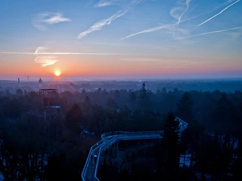 Baum&Zeit Baumkronenpfad - Sonnenuntergang