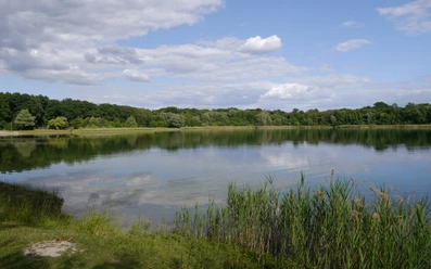 Nymphensee