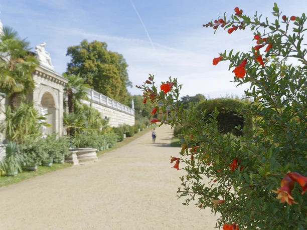 Sizilianischer Garten