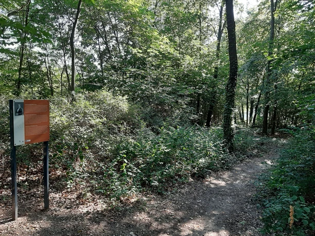 Spaziergang zum Hanna Bieber Böhm Denkmal