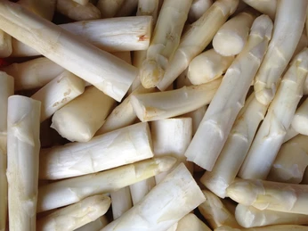 Restaurant Zur Anglerklause