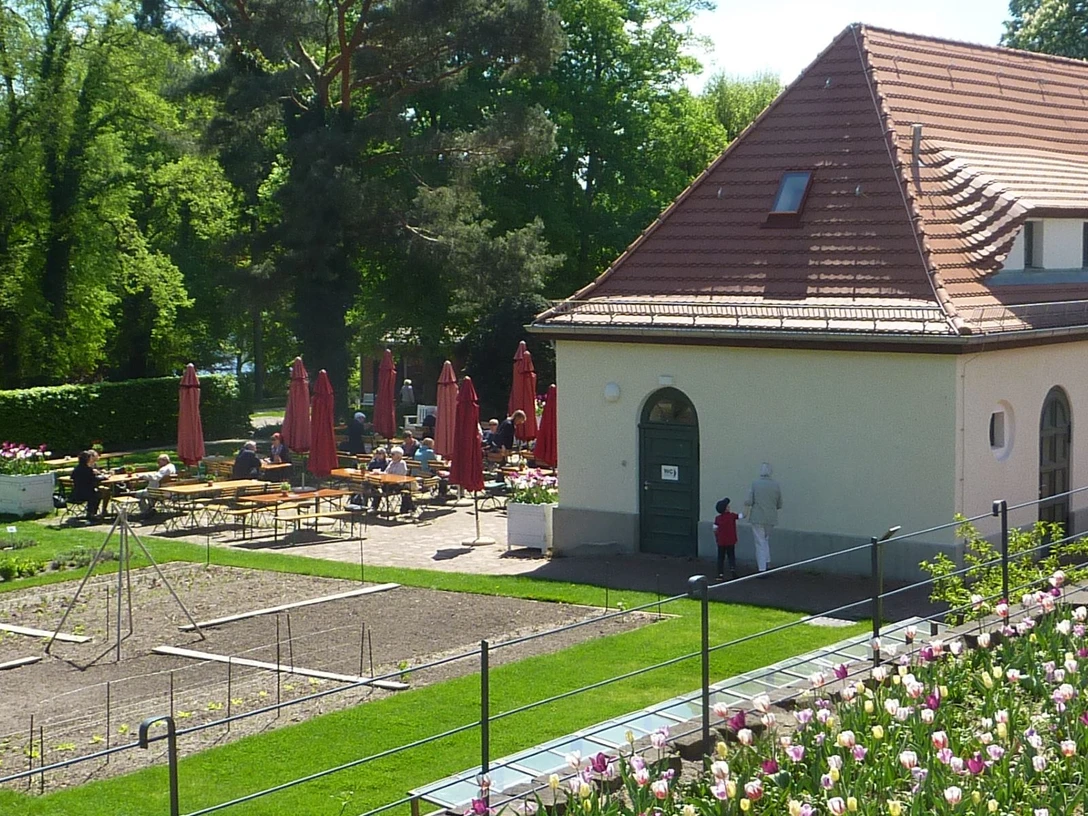 Sommercafé im Landhausgarten Dr. Max Fraenkel