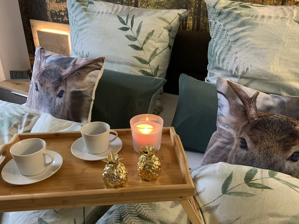 Wellness-Ferienhaus Bergheide