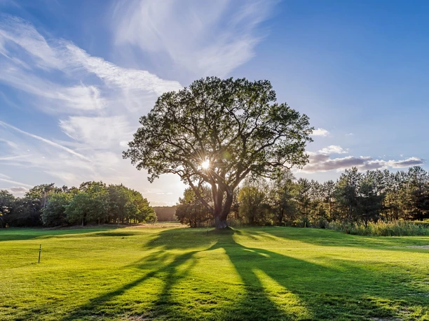 Golfplatz GolfResort Semlin am See