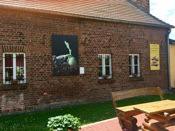 Außenansicht Ludwig Leichhardt Museum