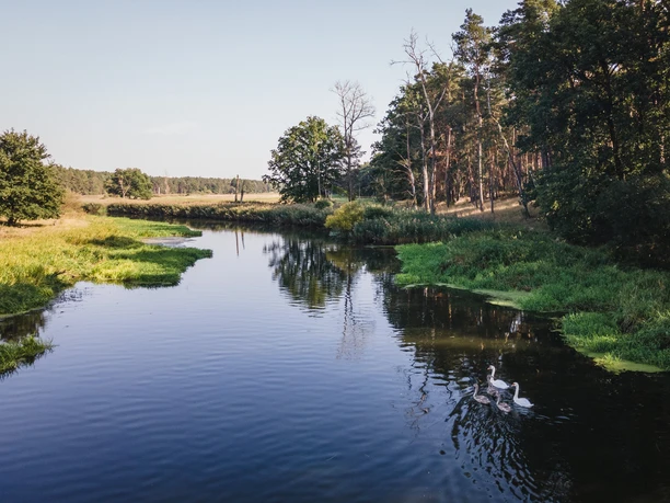 Müggelspree, Fluss, Hangelsberg