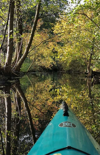 Kajaktour auf der Löcknitz