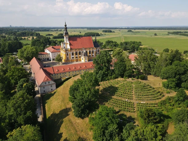 Neuzeller Weinberg von oben