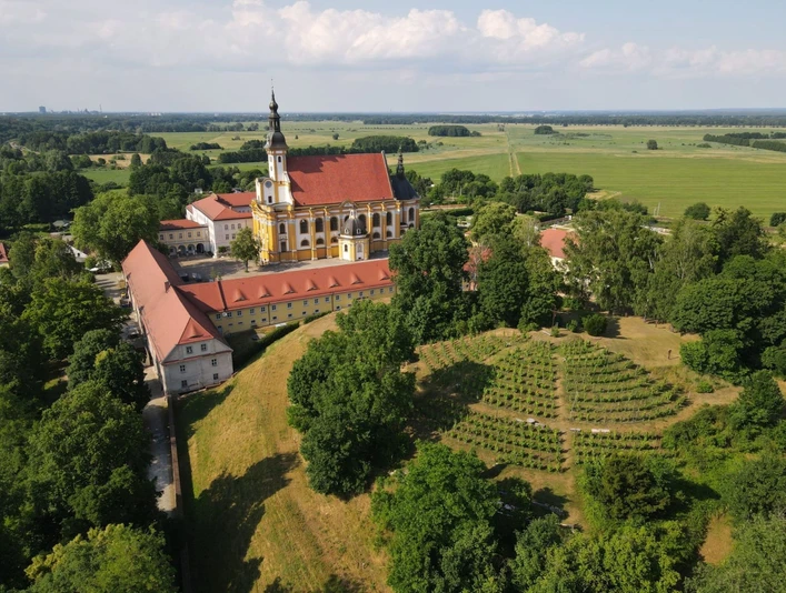 Neuzeller Weinberg von oben