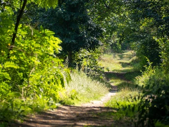 Fontaneweg F5 bei Jütchendorf