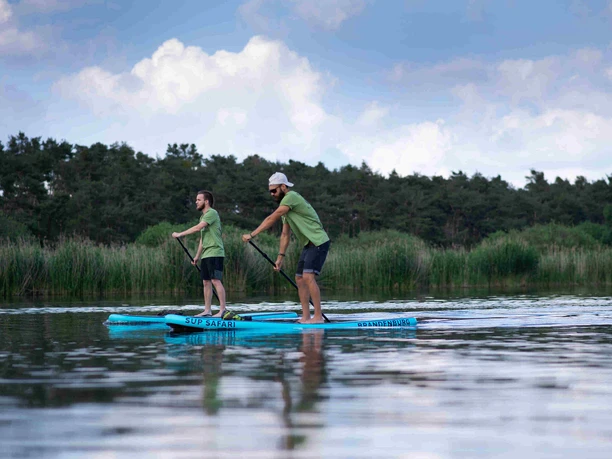 SUP Safari Brandenburg