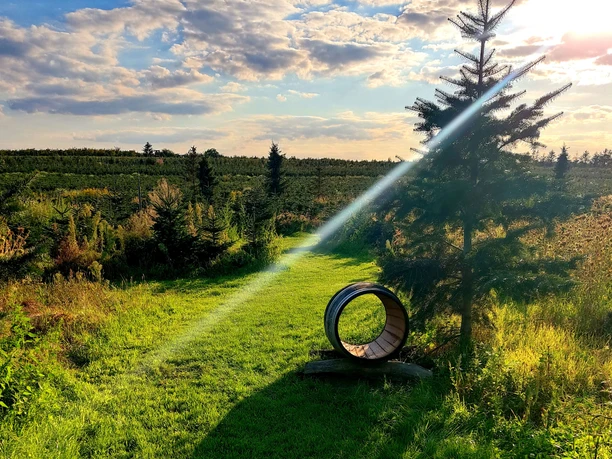 Gelände mit Hinderniss