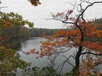 Blick über den Wirchensee