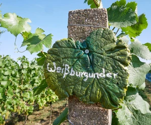 Weingut Patke