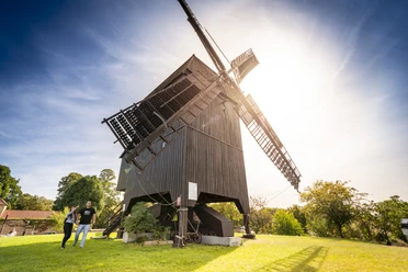 Bockwindmühle Werder (Havel)